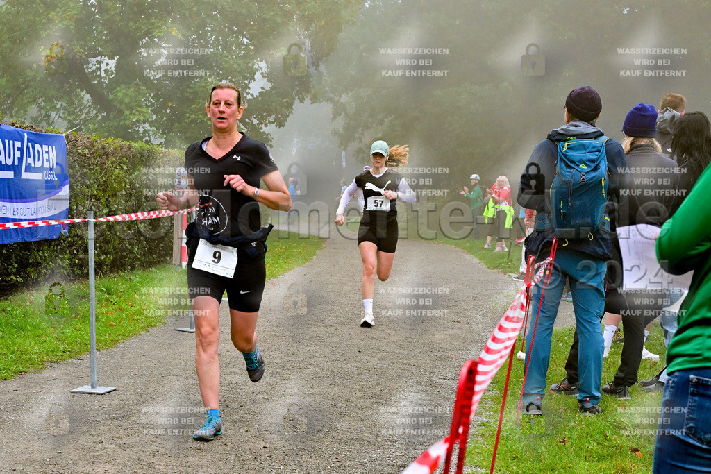 Z8N_2189 | la-psv - Realisiert mit Pictrs.com