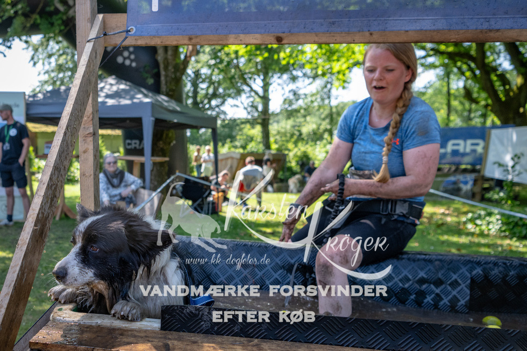 1342_ZZ92043 | kk-dogfotos