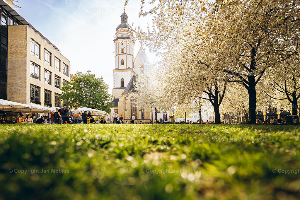 _DSC1424 | Leipzig Wandbilder Drucke Prints Leinwand Stadtmotive Leipzig Fotosdruck Kunstdrucke Bilder Leipzig Stadtansichten Acrylglasbilder Leipzig Wanddeko Fine Art Prints Wandbilder Büro Leipzig Bilder Praxis Zuhause Bilderdruck Poster Posterlounge Kunstdrucke - Realisiert mit Pictrs.com
