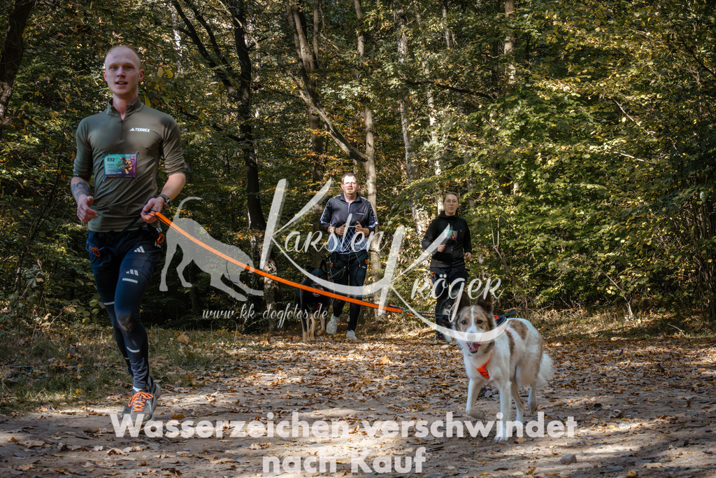 1236_ZZ95700 | kk-dogfotos