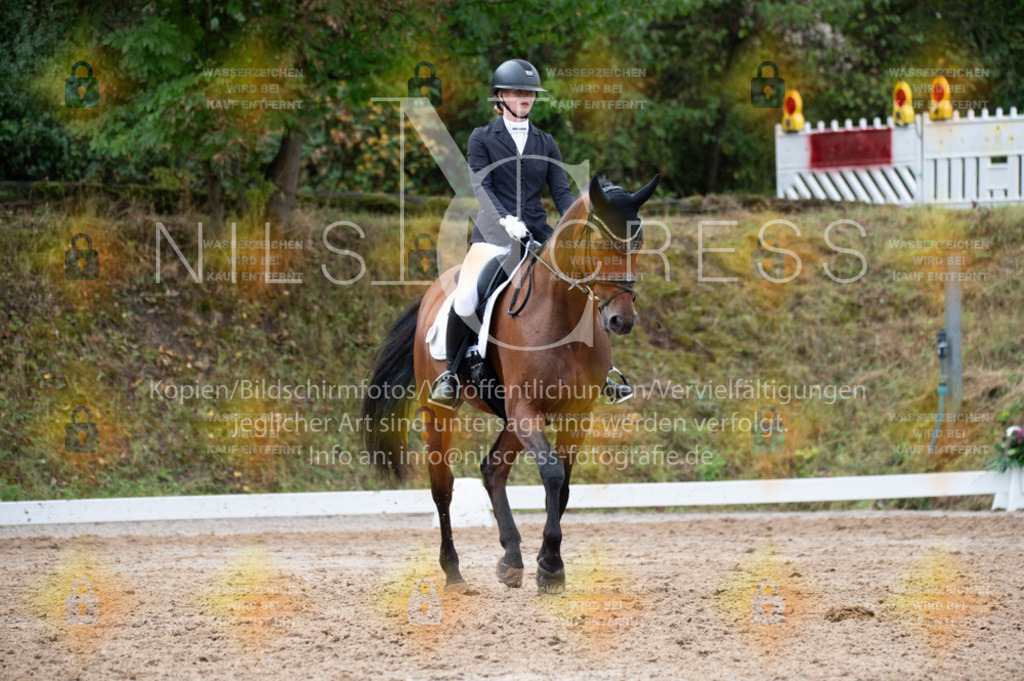DSC_1636 | Nils Cress - Fotografie - Realisiert mit Pictrs.com