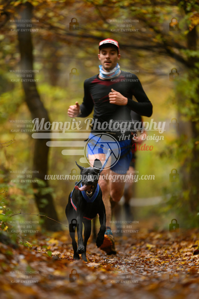 MompixPhotography_CD7S_DI_CCL-21 | mompixphotography