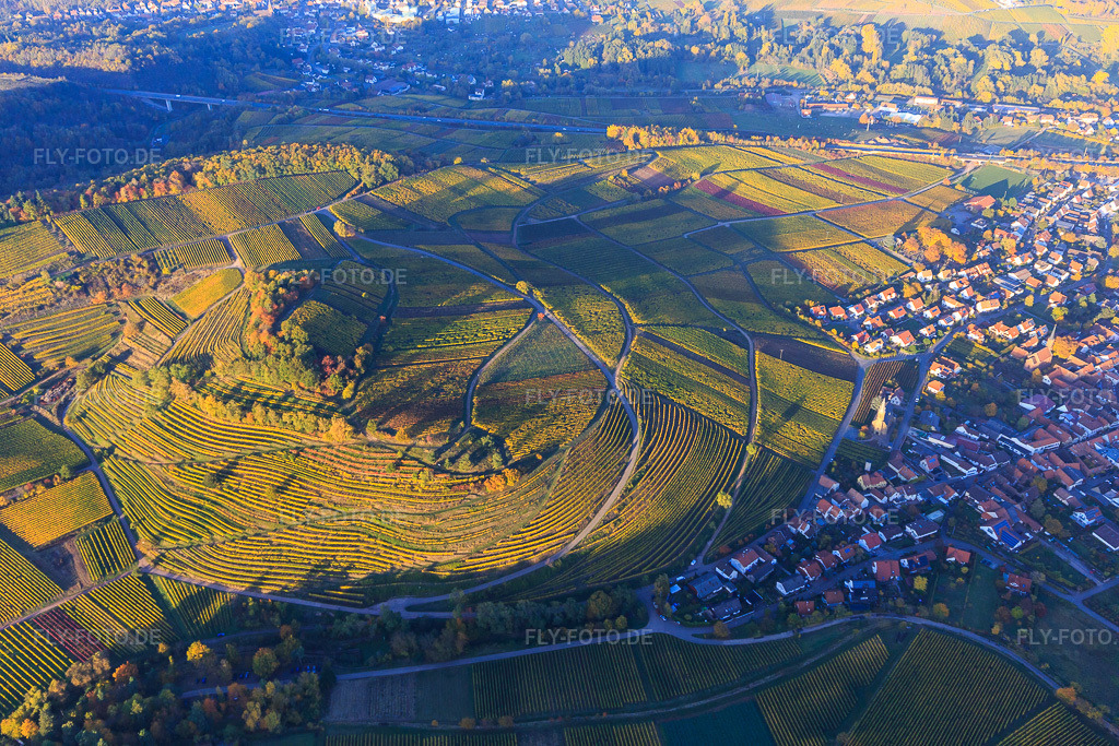 Luftbild: Herbstlicht bunte Reben der Weinberge der Lage Kastanienbusch in Birkweiler im Bundesland Rheinland-Pfalz in Deutschland. Foto: IMG_095706.jpg vom 30.10.2016 durch Werner Riehm/FLY-FOTO.de