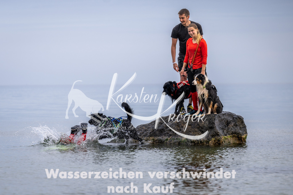1219_ZZ90868 | kk-dogfotos