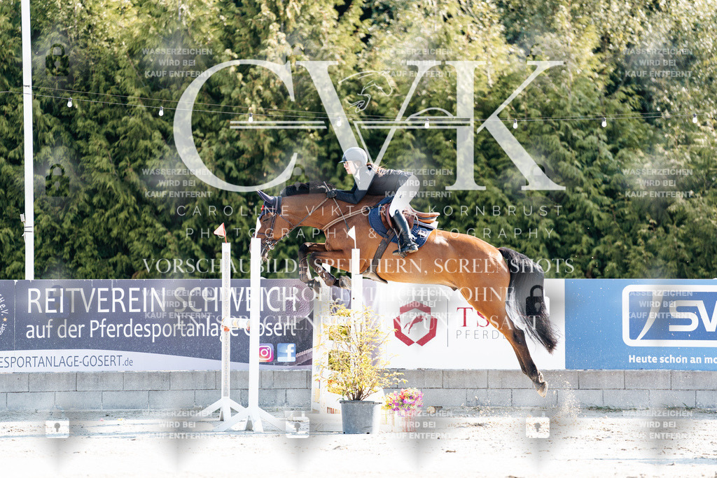 CK901698 | Turnierfotografie Pferdefotografie Trier Rheinland-Pfalz Pferdesport Reitsport Tierfotografie Sportfotografie Pferdevideo Pferdevideografie Equestrianvideography equestrianphotography  - Realisiert mit Pictrs.com