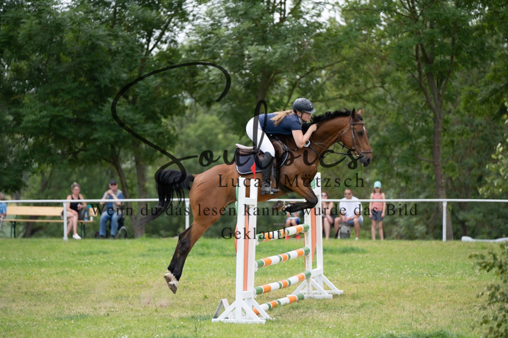 A7V06823 | Pferdefotograf