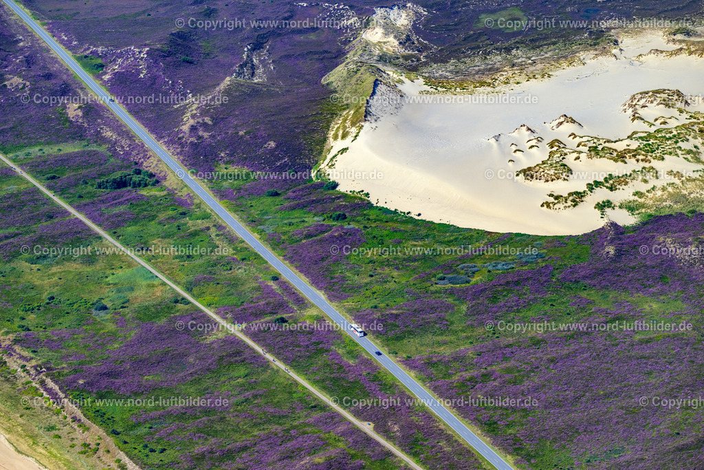 Sylt_List_Wanderdüne_Horst_ELS_4003130825 | LIST AUF SYLT 13.08.2025 Sandaufschüttungen einer Wanderdünenfläche in der Nordsee an der Listlandstraße in List auf Sylt im Bundesland Schleswig-Holstein, Deutschland. // Sand deposits of a shifting dune area in the North Sea on street Listlandstrasse in List auf Sylt in the state Schleswig-Holstein, Germany. Foto: Martin Elsen