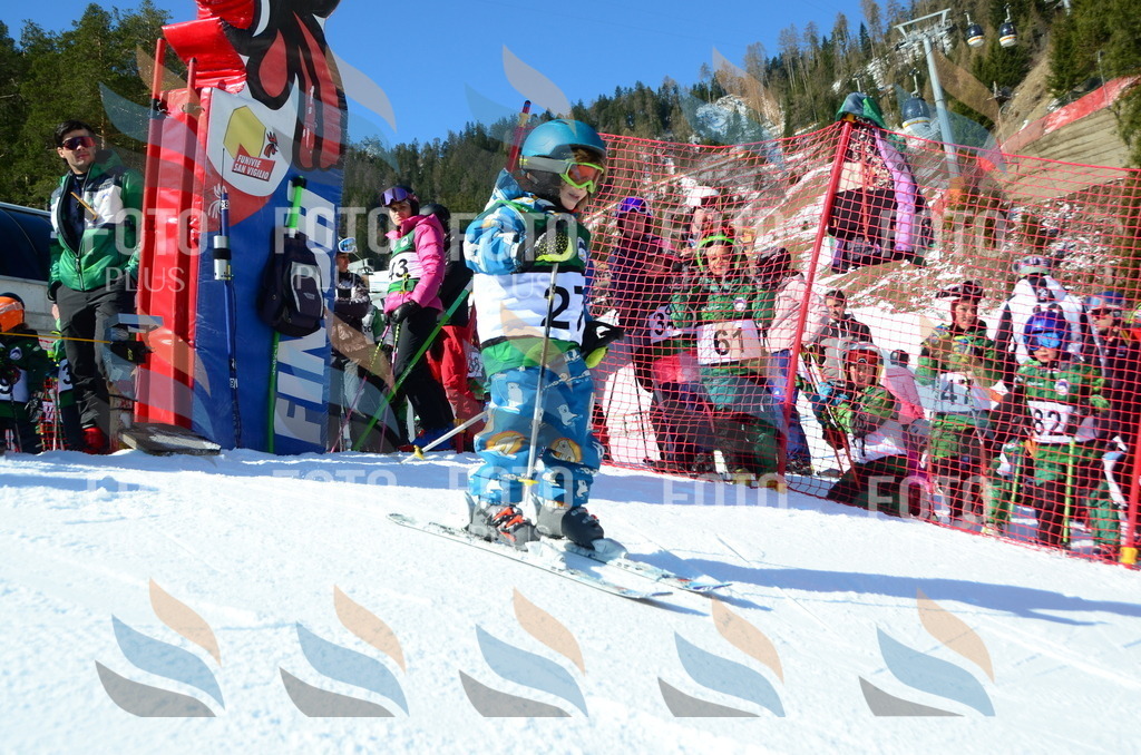 C4832 | holidayphoto