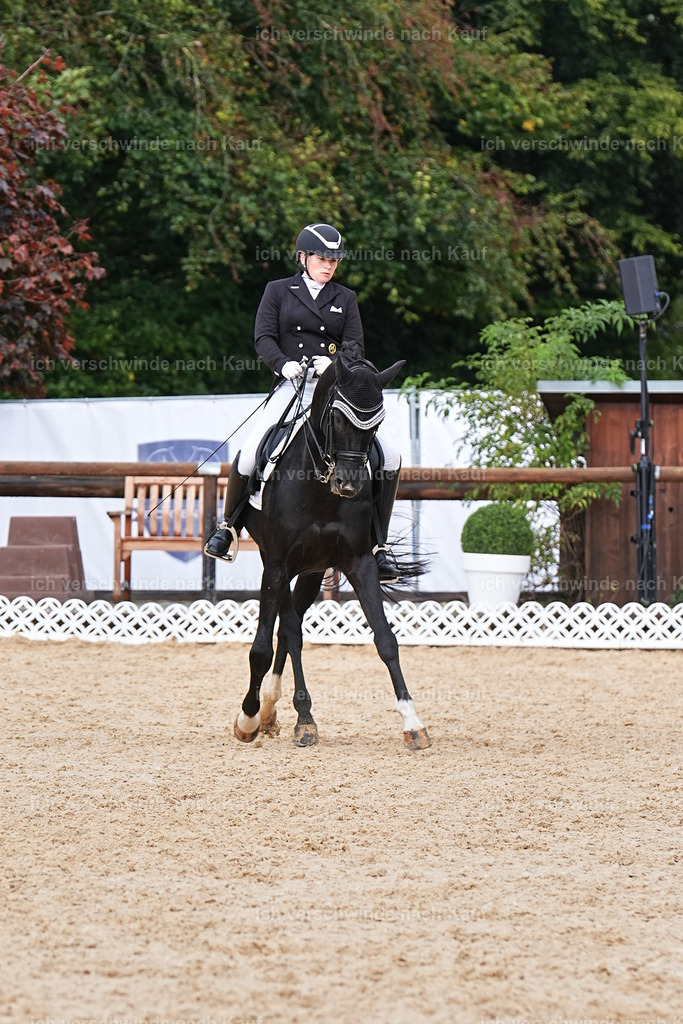 07-093-DRESSUR  S___  -Marixx-5138 | working equitationturnier fotograf videograf stoibphotography marixx film working equitation deutschland reitsport turnierfotografie eventfotografie equestrian events