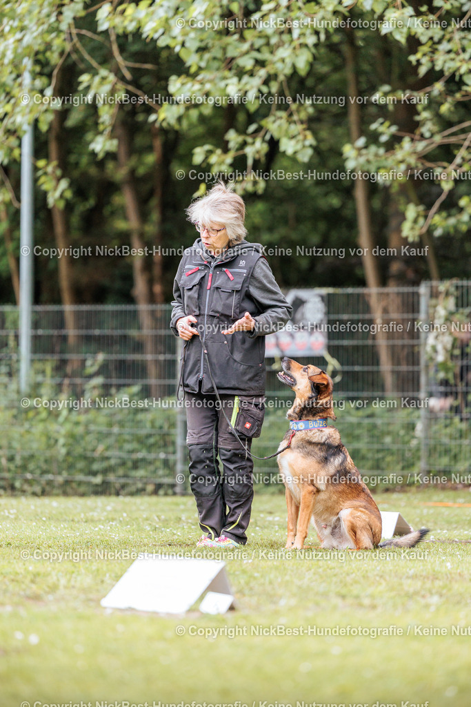 RO-Blumenthal-2026-Nickbest-Hundefotografie-1364 | Dein Hund! Dein Moment! Deine Erinnerungen! Hundefotografie in Bremen Blumenthal. Ich fange die besonderen Momente deines Vierbeiners ein – ob Indoor mit Blitzanlage oder in der freien Natur. Sicher dir dein Moment und dein Termin für eure Erinnerungen.
