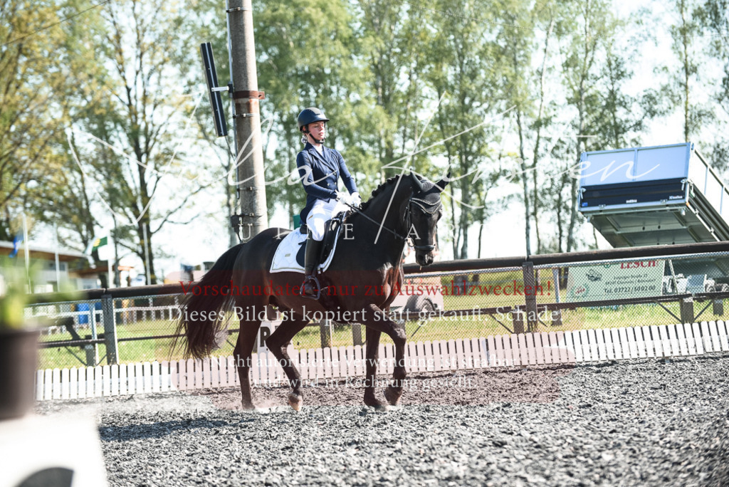 DSC_8570 | Pferde- und Turnierfotografie in Westsachsen. Pferdeportraits, Auftragszeichnungen und intuitive Kunst.