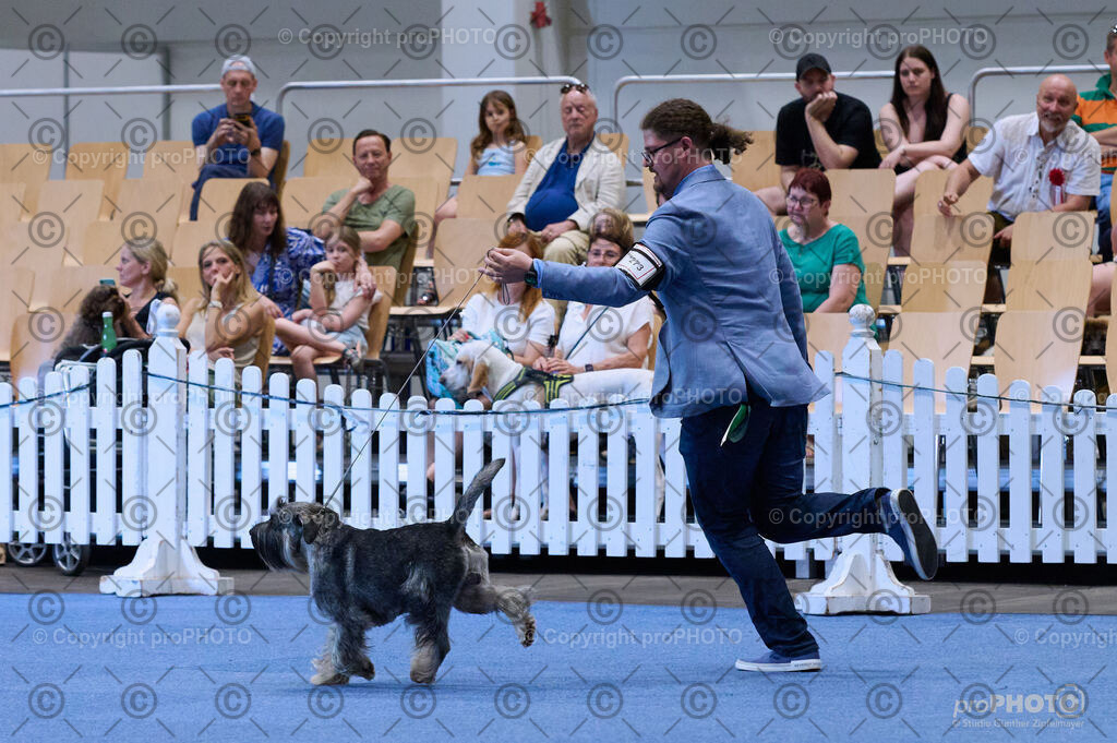 202406_ÖKV-IHA-Tulln24_DSC_3848 | proPHOTO - Realisiert mit Pictrs.com