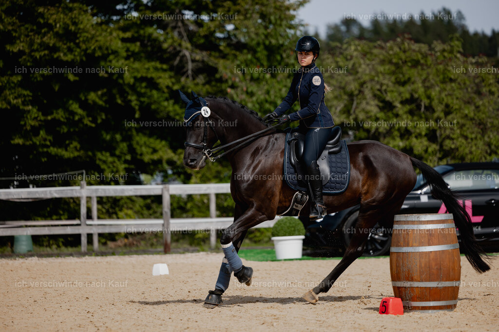 Leonie24_FHC2025-41 | working equitationturnier fotograf videograf stoibphotography marixx film working equitation deutschland reitsport turnierfotografie eventfotografie equestrian events