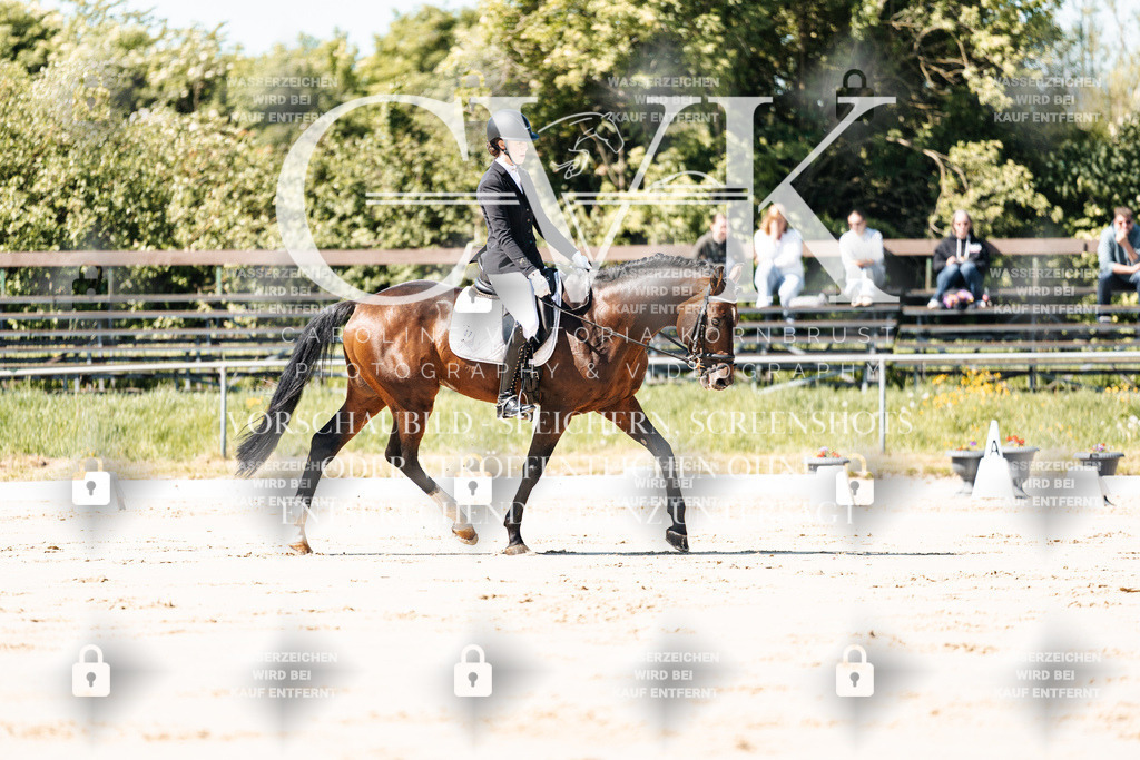 CK904990 | Turnierfotografie Pferdefotografie Trier Rheinland-Pfalz Pferdesport Reitsport Tierfotografie Sportfotografie Pferdevideo Pferdevideografie Equestrianvideography equestrianphotography  - Realisiert mit Pictrs.com