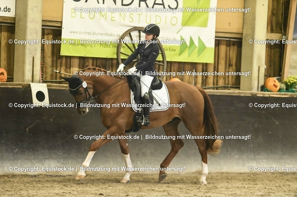 20231029_04_Dressur-WB_0256 | Foto: Thomas Hartig