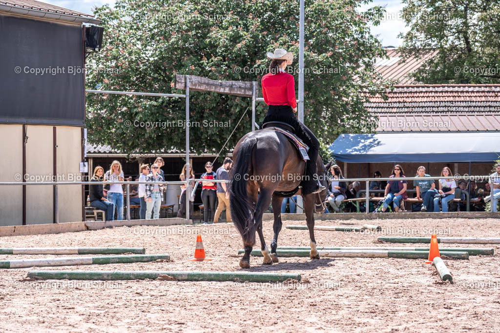 SBS00295 | BS-foto