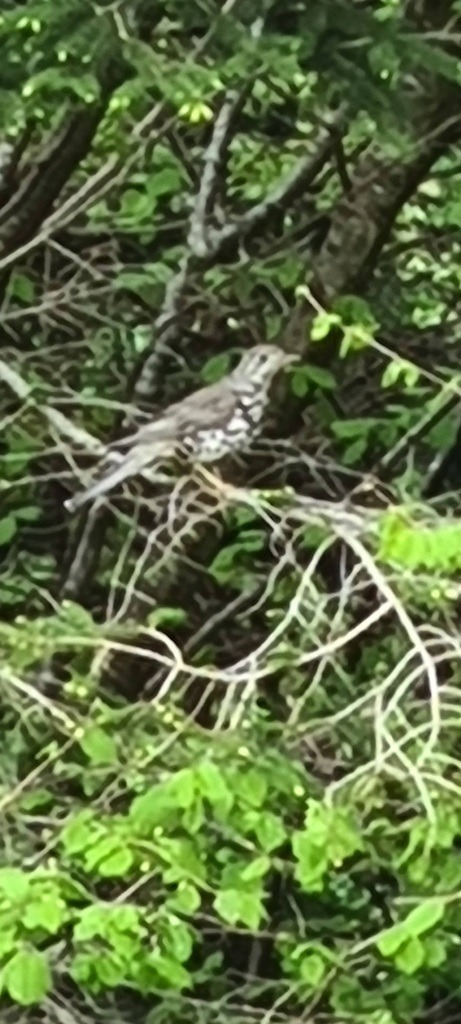 20220508_134130 | Heilkarten - Realisiert mit Pictrs.com