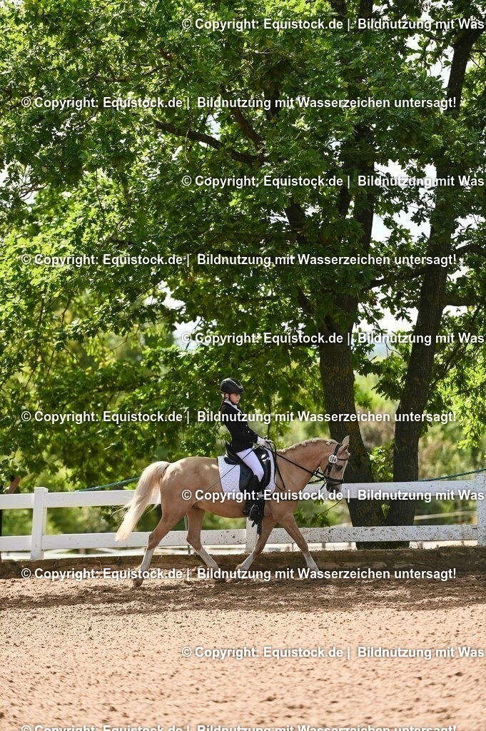 20230716_10-3_Reiter-WB Schritt - Trab - Galopp_0121 | equistock