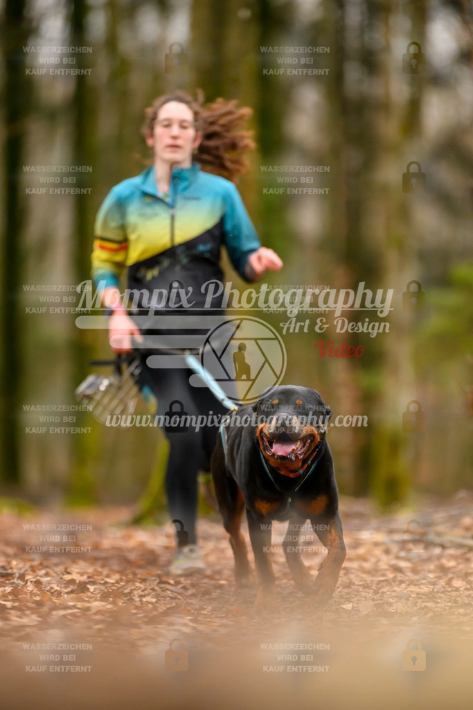 MompixPhotography_Habay2024_SA_Fun-76 | PayLife