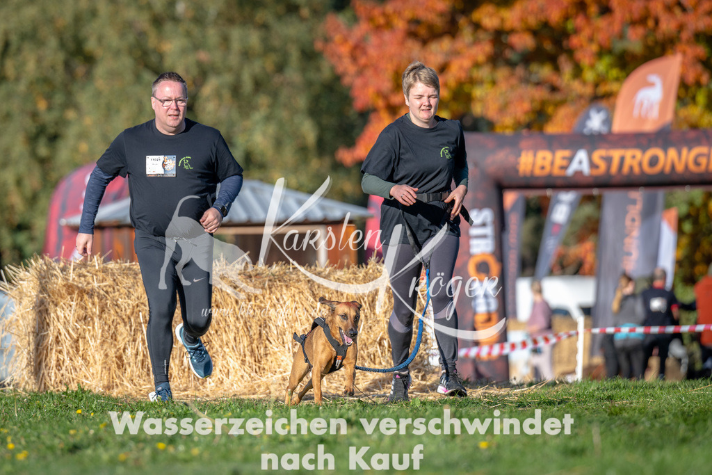 0955_ZZ91594 | kk-dogfotos