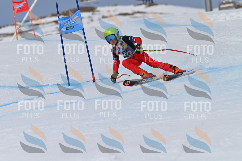 BGV_6105 | holidayphoto