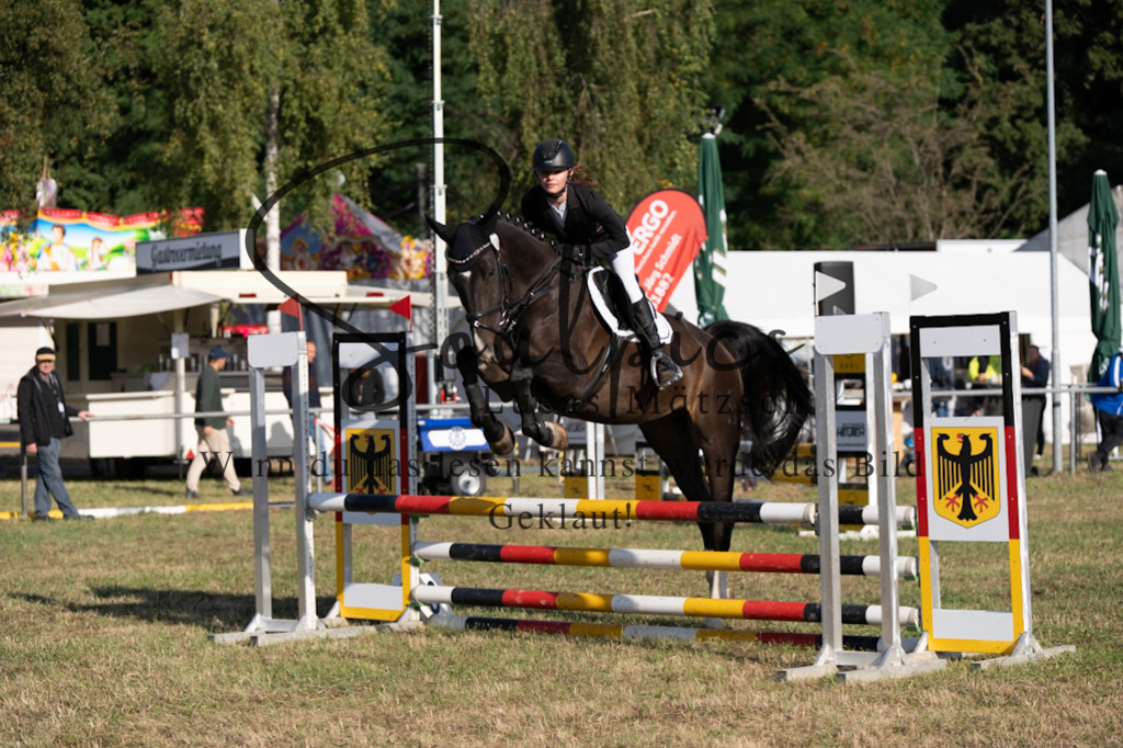 A7V08123 | Pferdefotograf