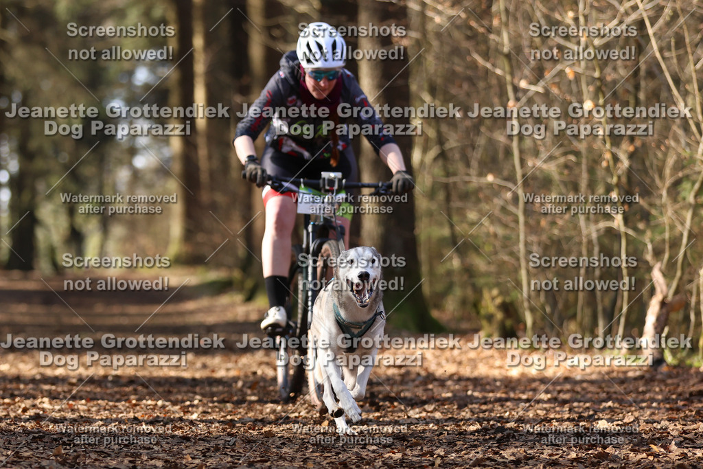 Dog Paparazzi - VCC26-1044 | Dog Paparazzi Jeanette Grottendiek Fotografie & Videografie - Realisiert mit Pictrs.com