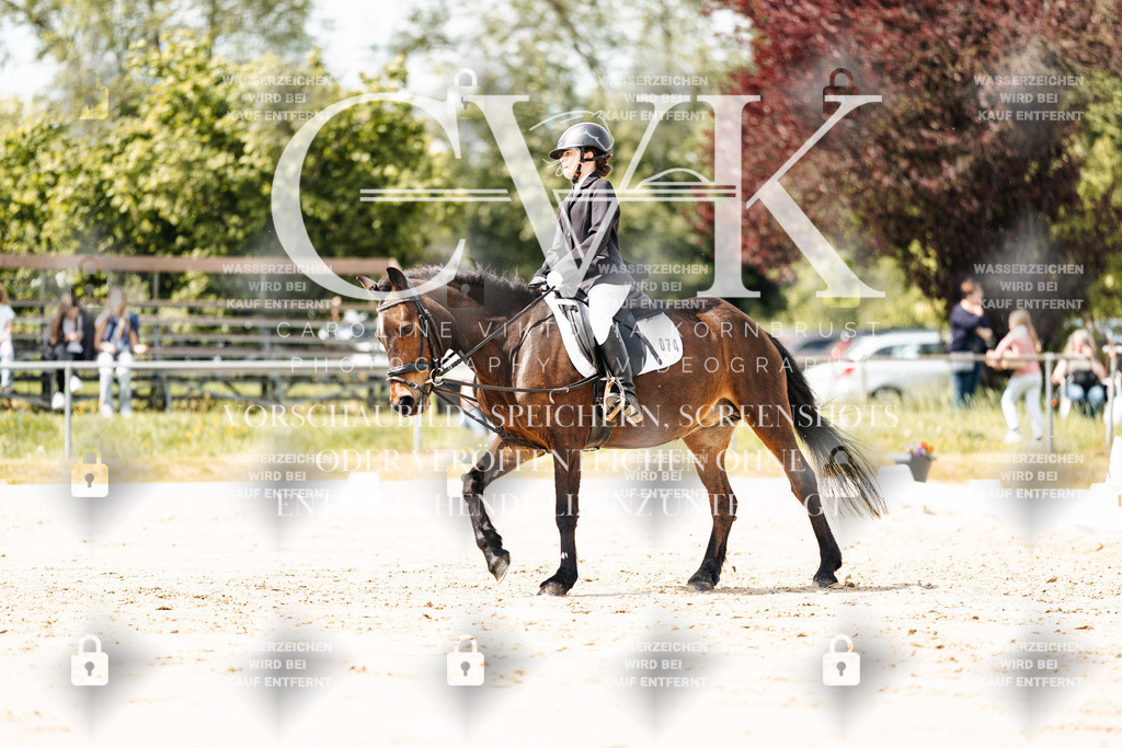 CK901875 | Turnierfotografie Pferdefotografie Trier Rheinland-Pfalz Pferdesport Reitsport Tierfotografie Sportfotografie Pferdevideo Pferdevideografie Equestrianvideography equestrianphotography  - Realisiert mit Pictrs.com
