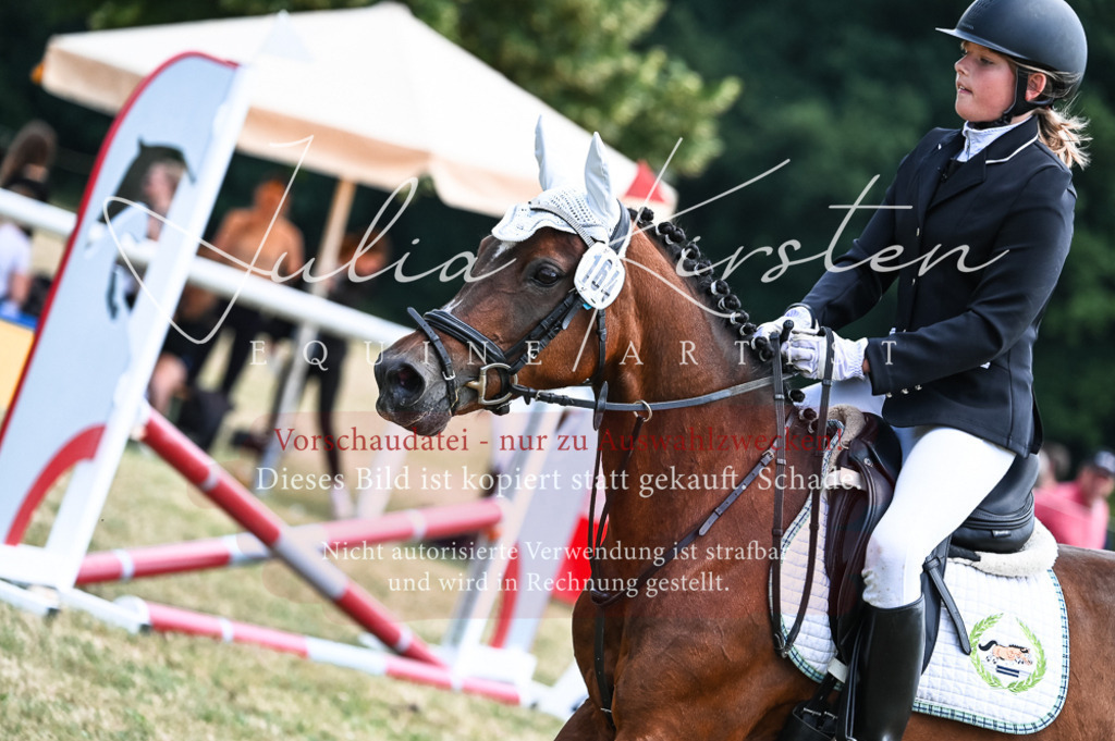 DSC_9799 | Pferde- und Turnierfotografie in Westsachsen. Pferdeportraits, Auftragszeichnungen und intuitive Kunst.