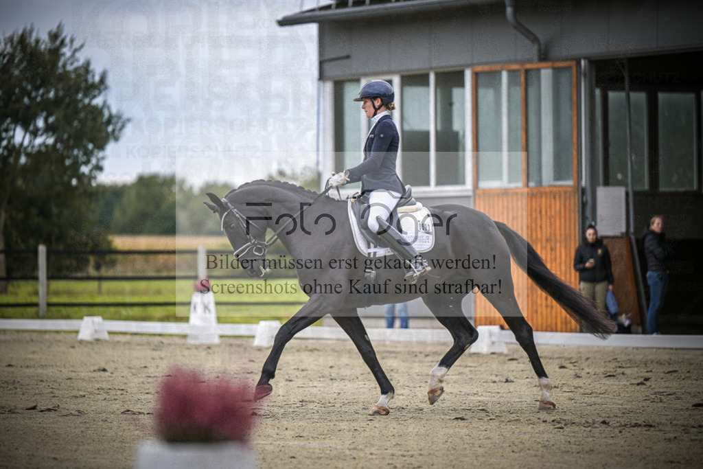 DOS_0387 | Entdecke hochwertige Reitturnierfotos von Foto Oger. Professionell, emotional und authentisch – jetzt Lieblingsmomente im Shop bestellen.Deutschlandweite Turnierfotografie. - Realisiert mit Pictrs.com