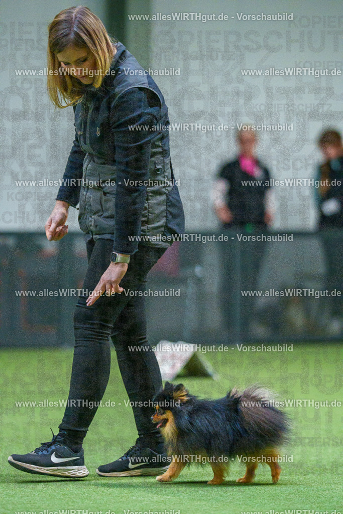 7R503500 | Professionelle Tierfotografie in Mönchengladbach von Daniel Wirth (allesWIRTHgut). Liebevolle & natürliche Bilder von Hunden & Katzen für unvergessliche Erinnerungen.