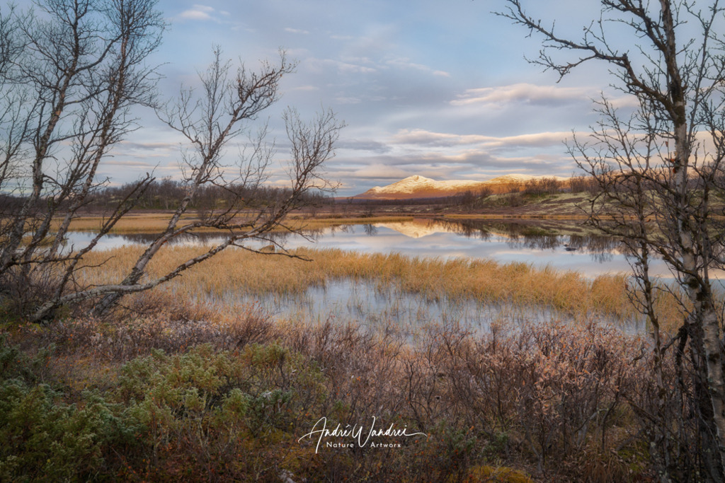 Morgenstimmung am Seeufer | Andre Wandrei - Nature Artworx - Realisiert mit Pictrs.com