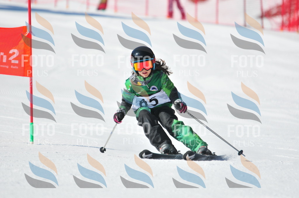 C2245 | holidayphoto