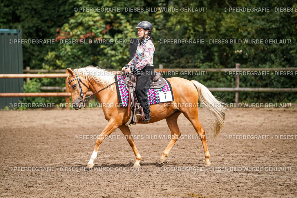 DSC04640 | Pferdegrafie