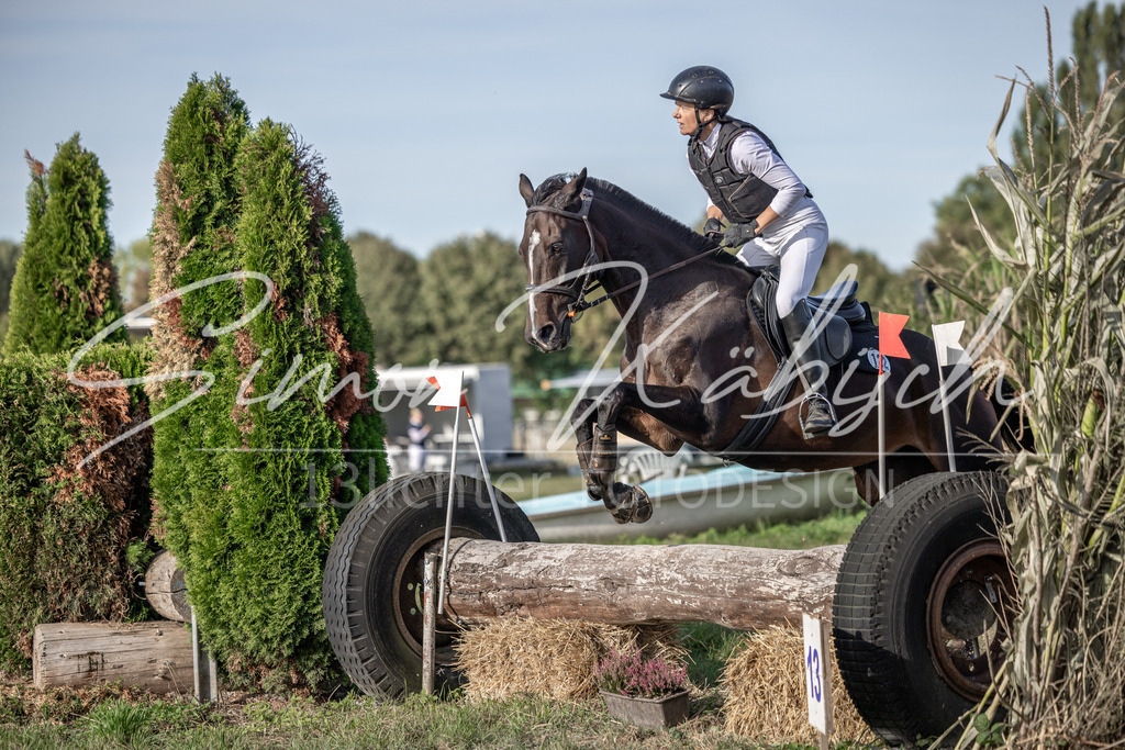 20250907-_3LI8845 | Tierfotografie Pferde, Hunde, Katzen, Haustiere.
Turnierfotografie Reitturniere, Reiten, Springreiten, Dressur in Hanau, dem Main-Kinzig-Kreis und dem Rhein-Main- Gebiet um Frankfurt