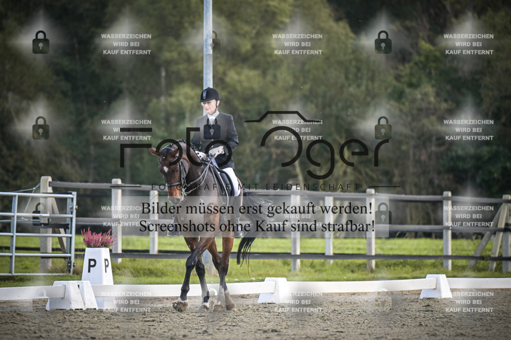 DOS_0576 | Entdecke hochwertige Reitturnierfotos von Foto Oger. Professionell, emotional und authentisch – jetzt Lieblingsmomente im Shop bestellen.Deutschlandweite Turnierfotografie. - Realisiert mit Pictrs.com