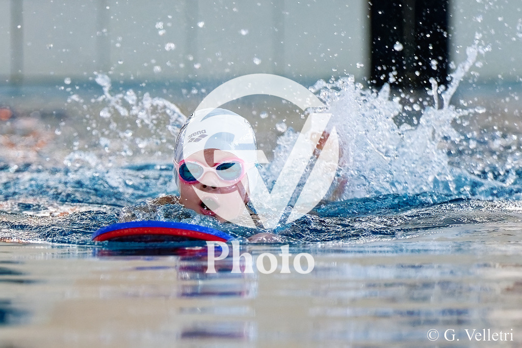 DSC_6790 | Velletri Photo