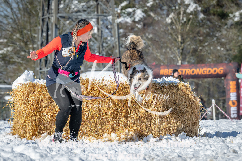 1033_ZZ91708-2 | kk-dogfotos