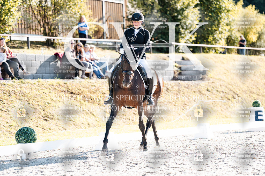 CK906340 | Turnierfotografie Pferdefotografie Trier Rheinland-Pfalz Pferdesport Reitsport Tierfotografie Sportfotografie Pferdevideo Pferdevideografie Equestrianvideography equestrianphotography  - Realisiert mit Pictrs.com