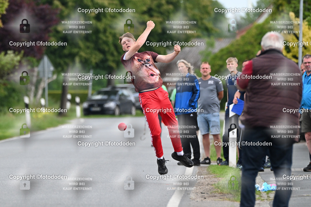 DSC_4772 | Oke Goldenstein / Stedesdorf