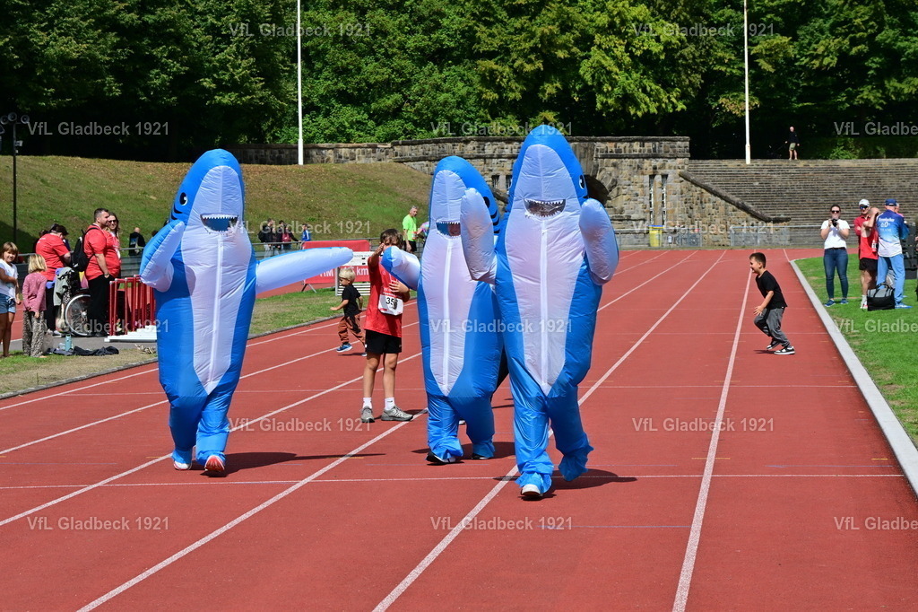 2026-08-23_Sparkassenlauf_Haie_00015 | Die Fotografen - Realisiert mit Pictrs.com
