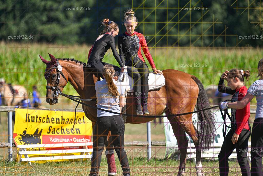 30 Jahre RFV Pulsnitz e.V., Pulsnitz am 09.08.2026 | 30Jahre Reit- und Fahrverein Pulsnitz e.V., Pulsnitz am 08.08.26, Zur 28. breitensportlichen Veranstaltung des RFV Pulsnitz e.V. fanden verschiedene Wettbewerbe in nahezu allen Disziplinen des Pferdesport statt.- Voltigier-Wettbewerb im Schritt - Realisiert mit Pictrs.com