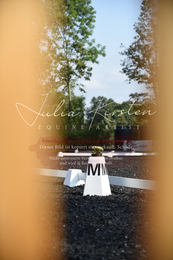 DSC_3252 | Pferde- und Turnierfotografie in Westsachsen. Pferdeportraits, Auftragszeichnungen und intuitive Kunst.