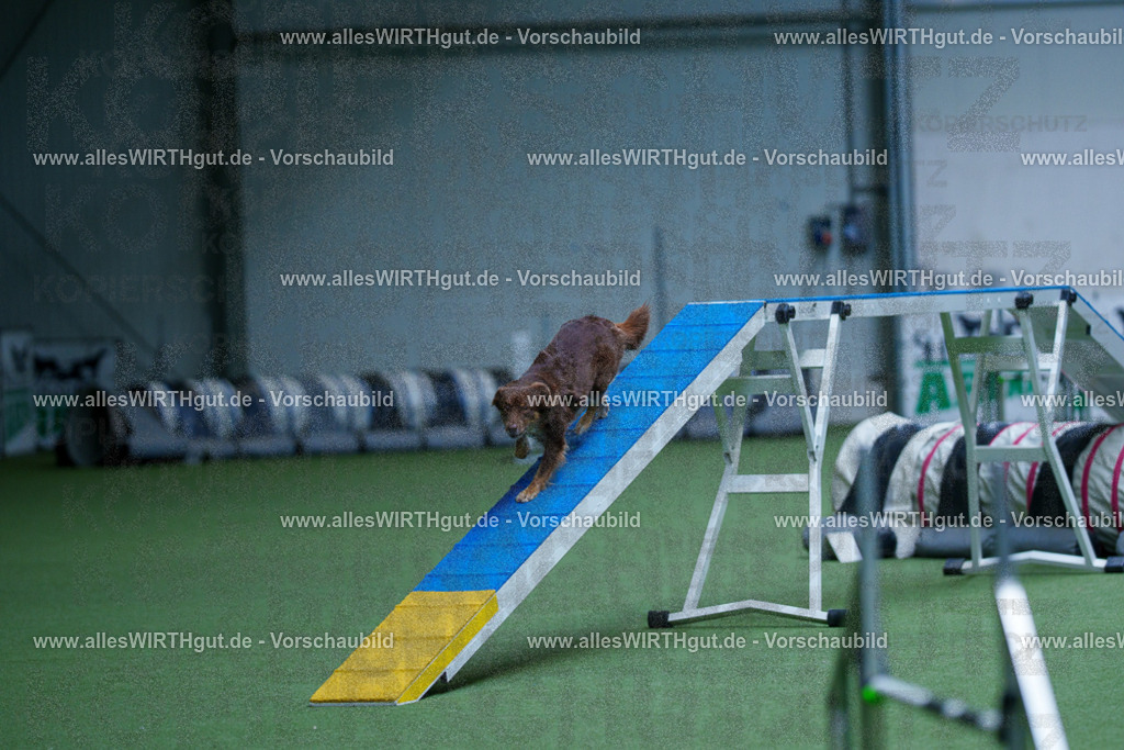@allesWIRTHgut_Tierfotografie - www.allesWIRTHgut.de - 2604261140-7R500154 | Professionelle Tierfotografie in Mönchengladbach von Daniel Wirth (allesWIRTHgut). Liebevolle & natürliche Bilder von Hunden & Katzen für unvergessliche Erinnerungen.