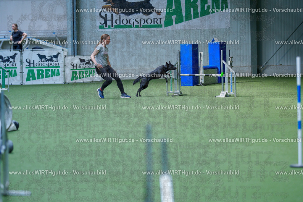 @allesWIRTHgut_Tierfotografie - www.allesWIRTHgut.de - 2604261352-7R502850 | Professionelle Tierfotografie in Mönchengladbach von Daniel Wirth (allesWIRTHgut). Liebevolle & natürliche Bilder von Hunden & Katzen für unvergessliche Erinnerungen.