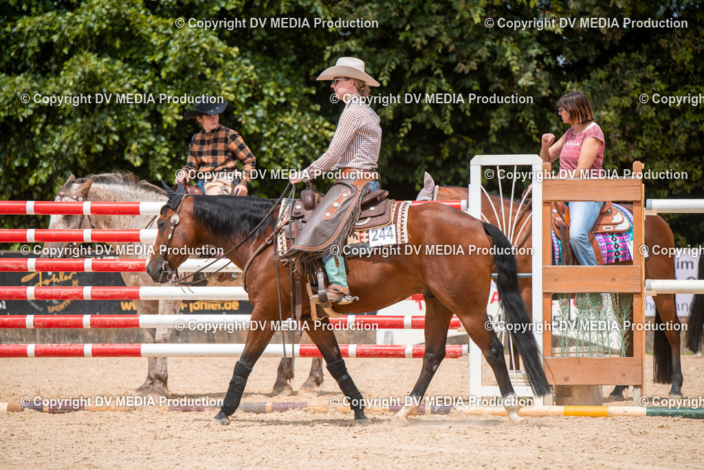 EWP_6334 | dv-media-shop - Realisiert mit Pictrs.com