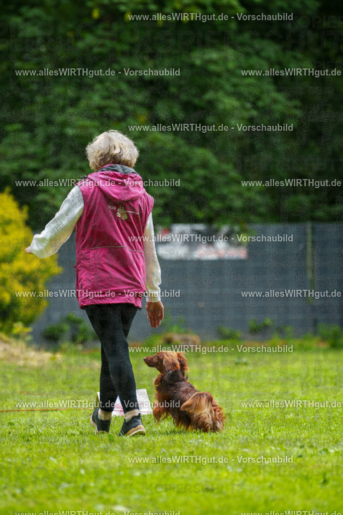 @allesWIRTHgut_Tierfotografie - www.allesWIRTHgut.de - 091049-7R506677 | Professionelle Tierfotografie in Mönchengladbach von Daniel Wirth (allesWIRTHgut). Liebevolle & natürliche Bilder von Hunden & Katzen für unvergessliche Erinnerungen.