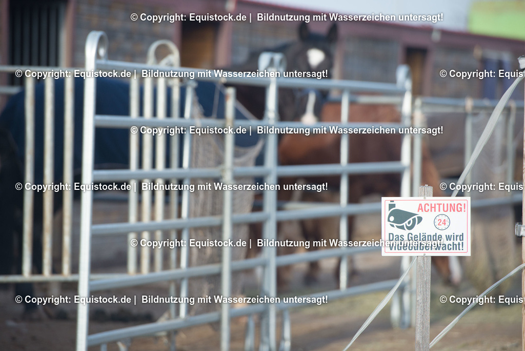 TS_20180305_Achtung_Video_0001 | Foto: Thomas Hartig