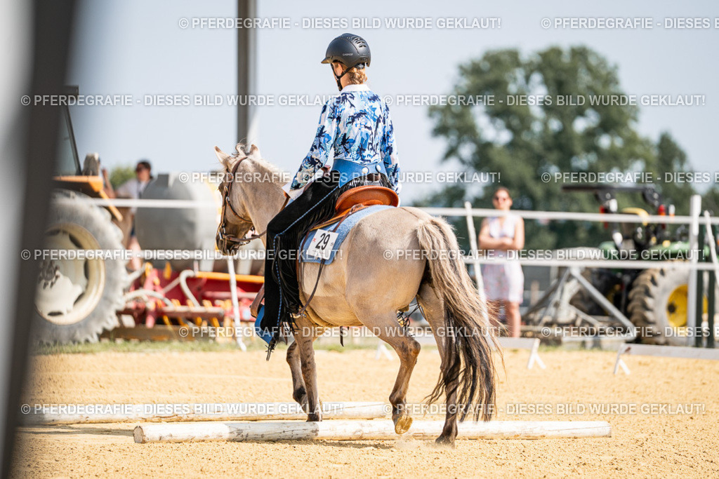 DSC09726 | Pferdegrafie