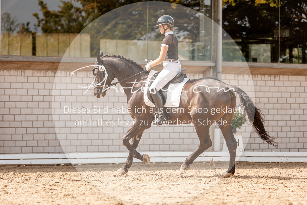 3I6A4010 | Stimmungsvolle Portraits und Reitsportfotografie im Ruhrgebiet und im Münsterland.

Pferdefotografie, Hundefotografie, Tierfotografie, Reportagen, Portraits von Tier und Mensch, Turnierfotografie in Bochum, Recklinghausen, Marl, Haltern am See, Dülmen.. - Realisiert mit Pictrs.com